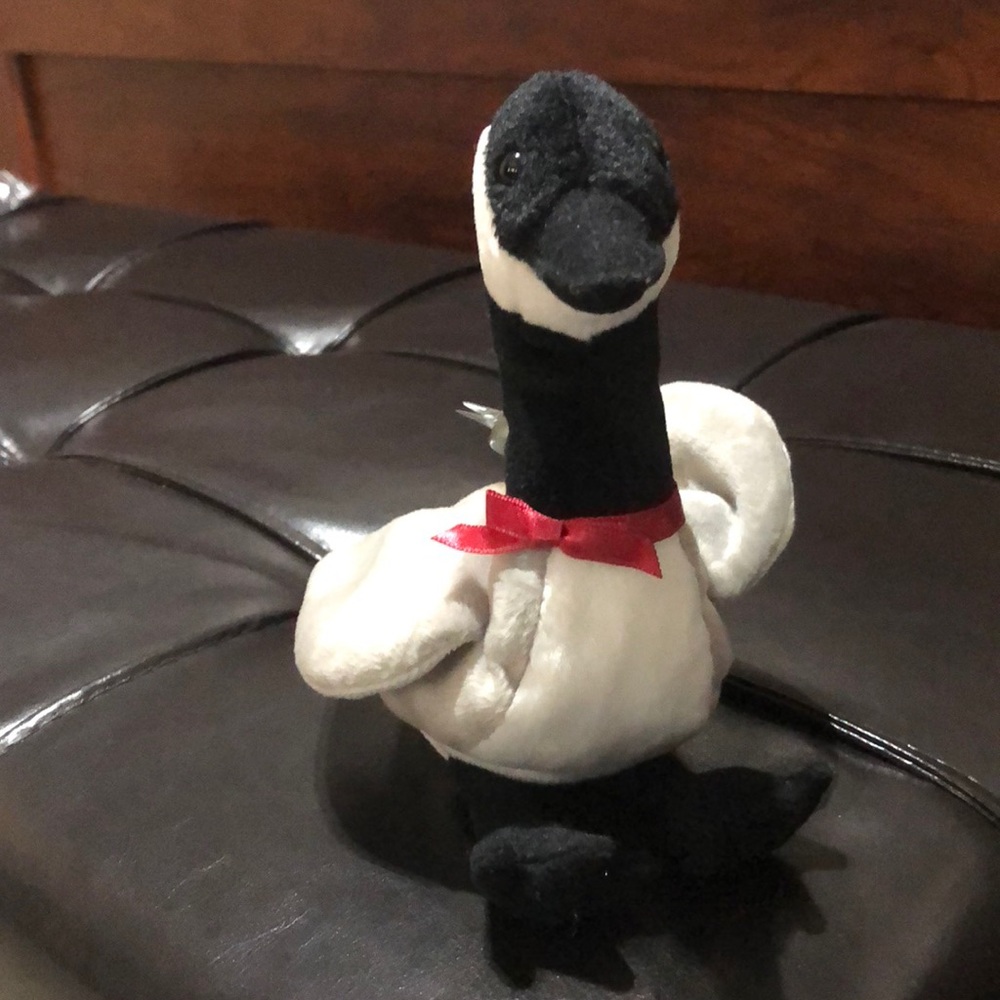 Loosy the goose